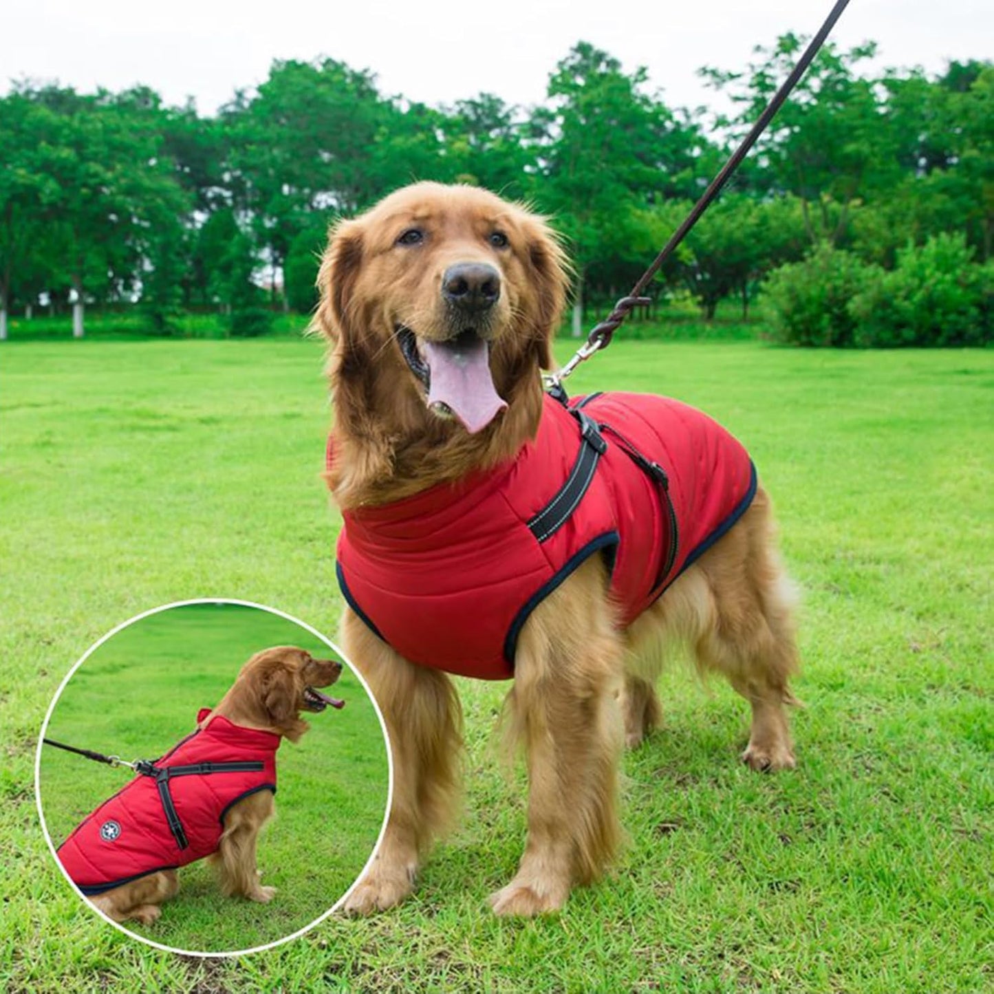 Aiboria Dog Jacket Coat Windproof Jackets Warm Pet Vest Fleece Dog Sweater Padded Vest with Chest Strap Harness Red 3XL