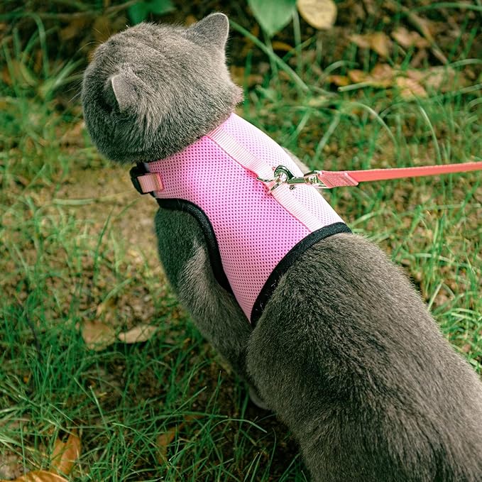 PUPTECK Soft Mesh Cat Vest Harness and Leash Set Puppy Padded Pet Harnesses Escape Proof for Cats Small Dogs (Small, Pink)