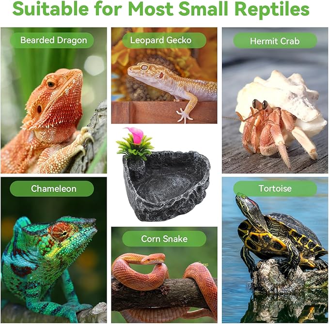 Reptile Water Dish Food Bowl,Corner Rock Terrarium Feeding Bowl Hermit Crab Water,Reptile Feeder Food and Water Dish,Tortoise, Lizard, Gecko, Chameleon, Bearded Dragon