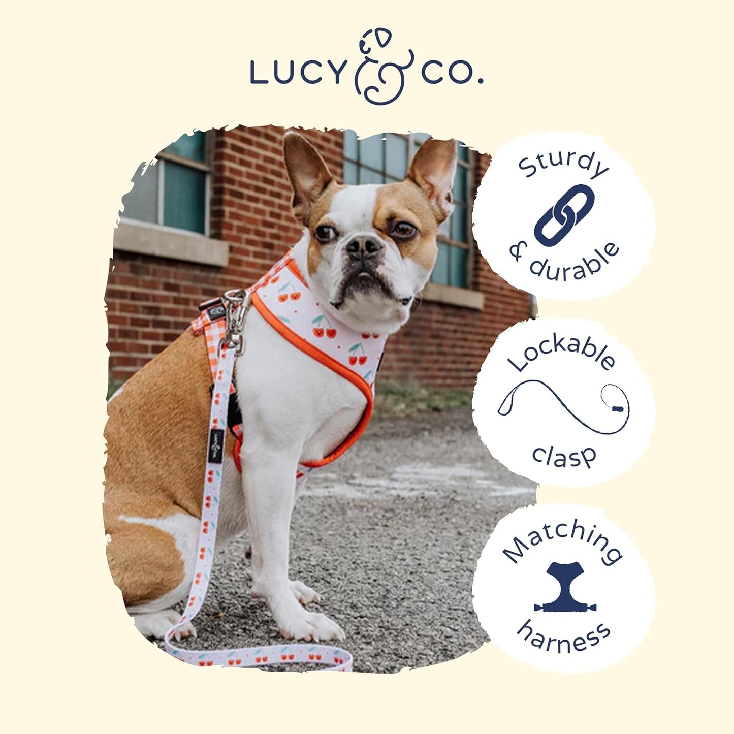 Lucy & Co. Cheery Cherries - Designer Dog Leash for Small to Large Dogs - Padded Handle for Comfort - Small, Red Gingham Cherries - 5 Foot