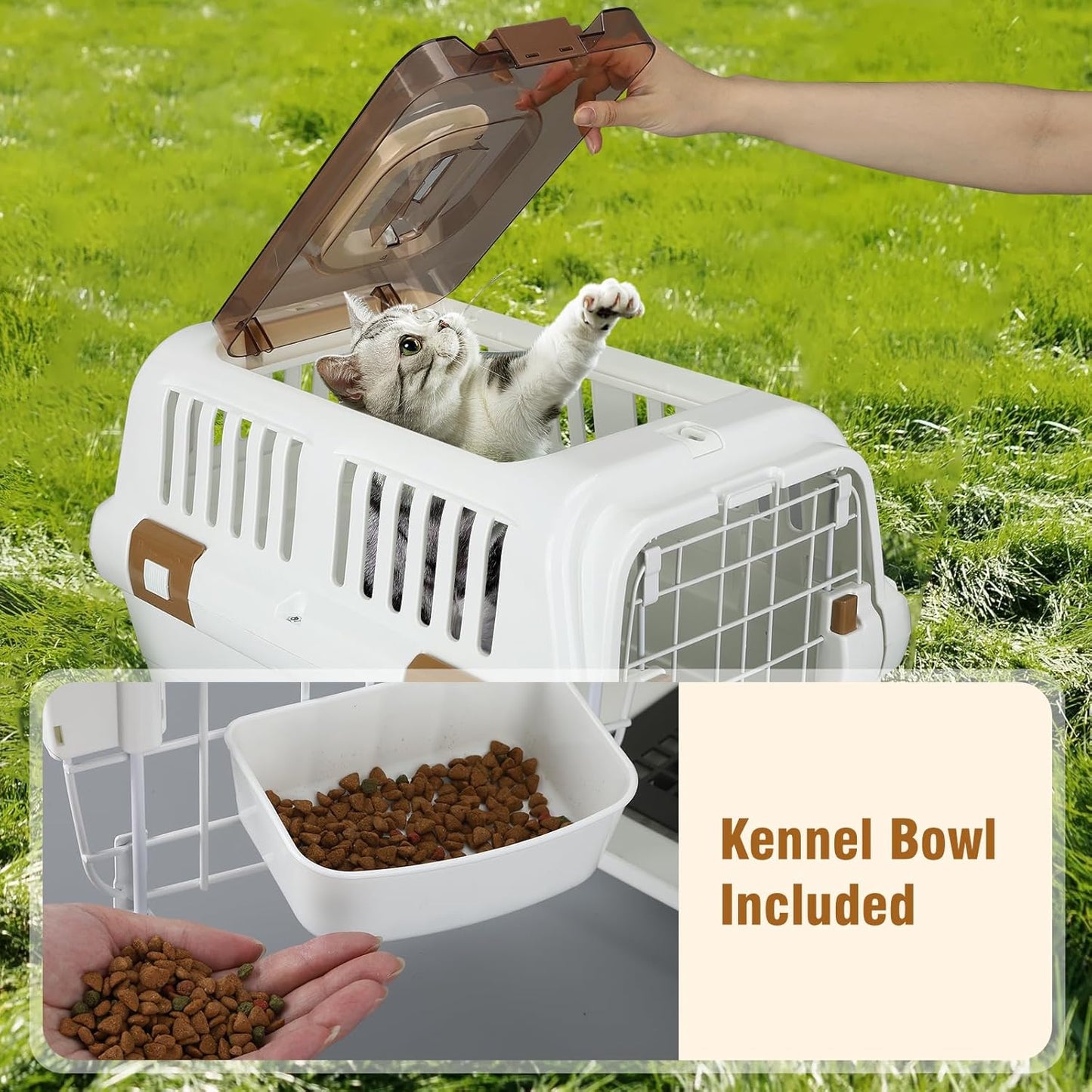 Hard-Sided Plastic Dog and Cat Kennel,Two-Door Pet Carrier, Plastic Wire Door, Top or Front Loading,Pets up to 22LBS,Fully Breathable, Perfect for Traveling/Hiking/Camping/Veterinary Visits