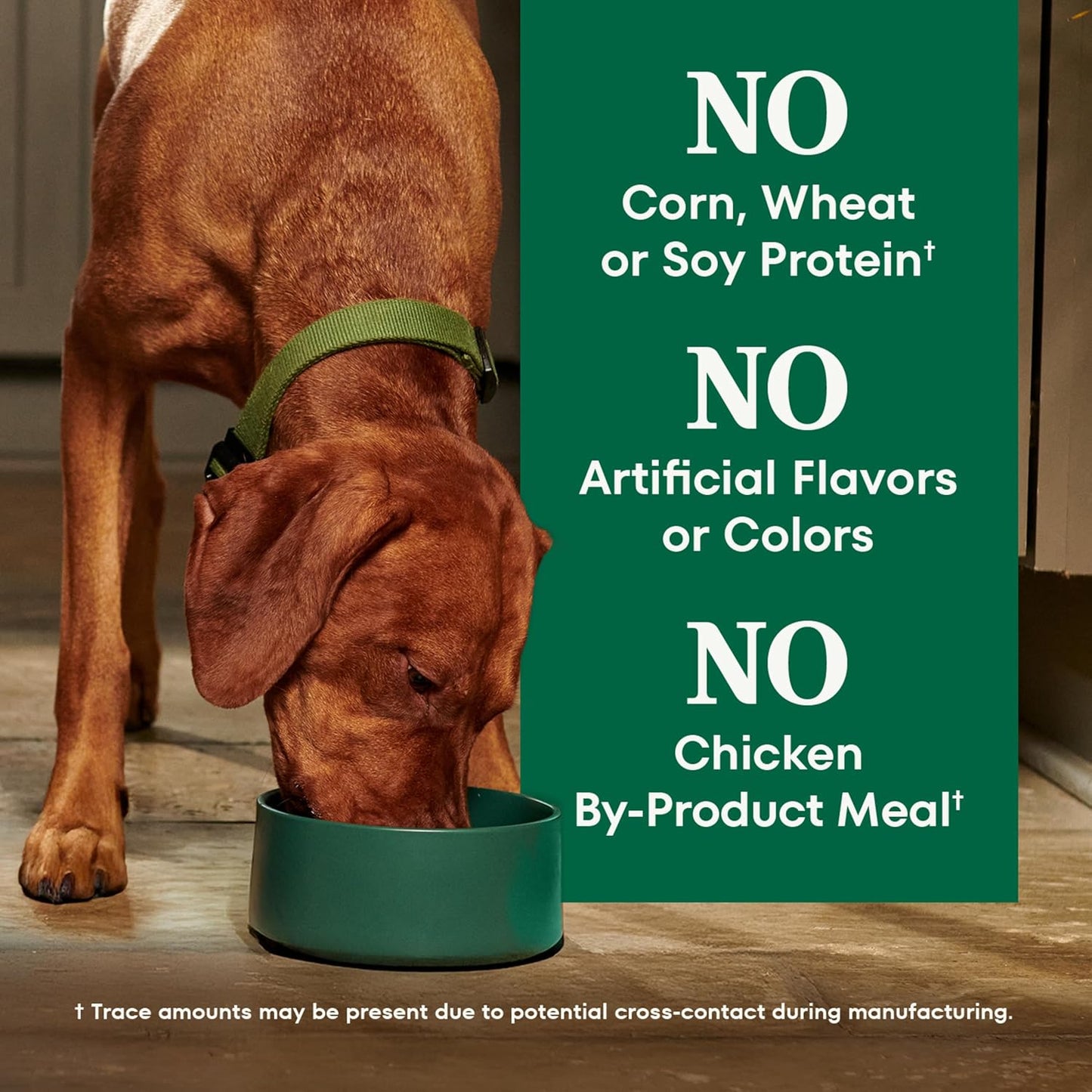 Nutro Natural Choice Chicken & Brown Rice Adult Large Breed Dog Food Dry Recipe, 30 lb. Bag