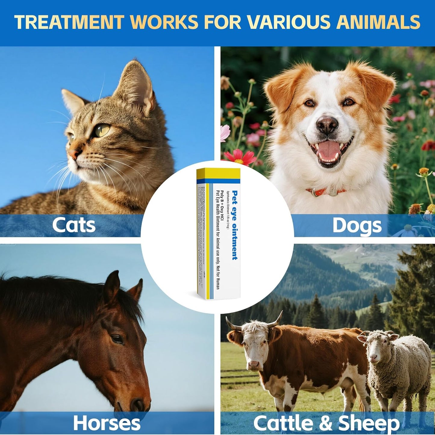 Pet Eye Health for Dogs, Cats, Cattle, Sheep, Horses, Birds and Puppies, Kitten - 1 Tube 0.35 oz /10g