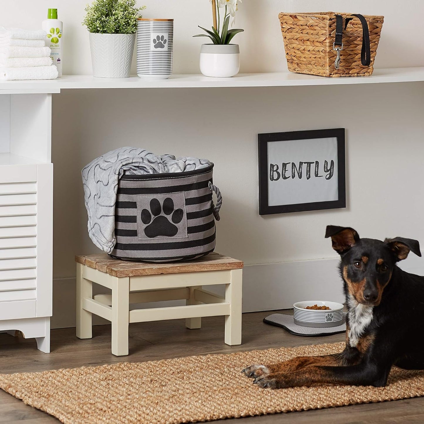 Bone Dry Pet Storage Collection Striped Paw Patch Bin, Black, Small Round