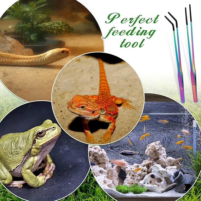 Lasnten 2 Pcs Extra Long Stainless Steel Reptile Feeding Tongs with Rubber Tip Bearded Dragon Aquarium Straight and Curved Long Tweezer Terrarium Feeder Tool for Tank(10 Inch, 10.5 Inch,Colorful)