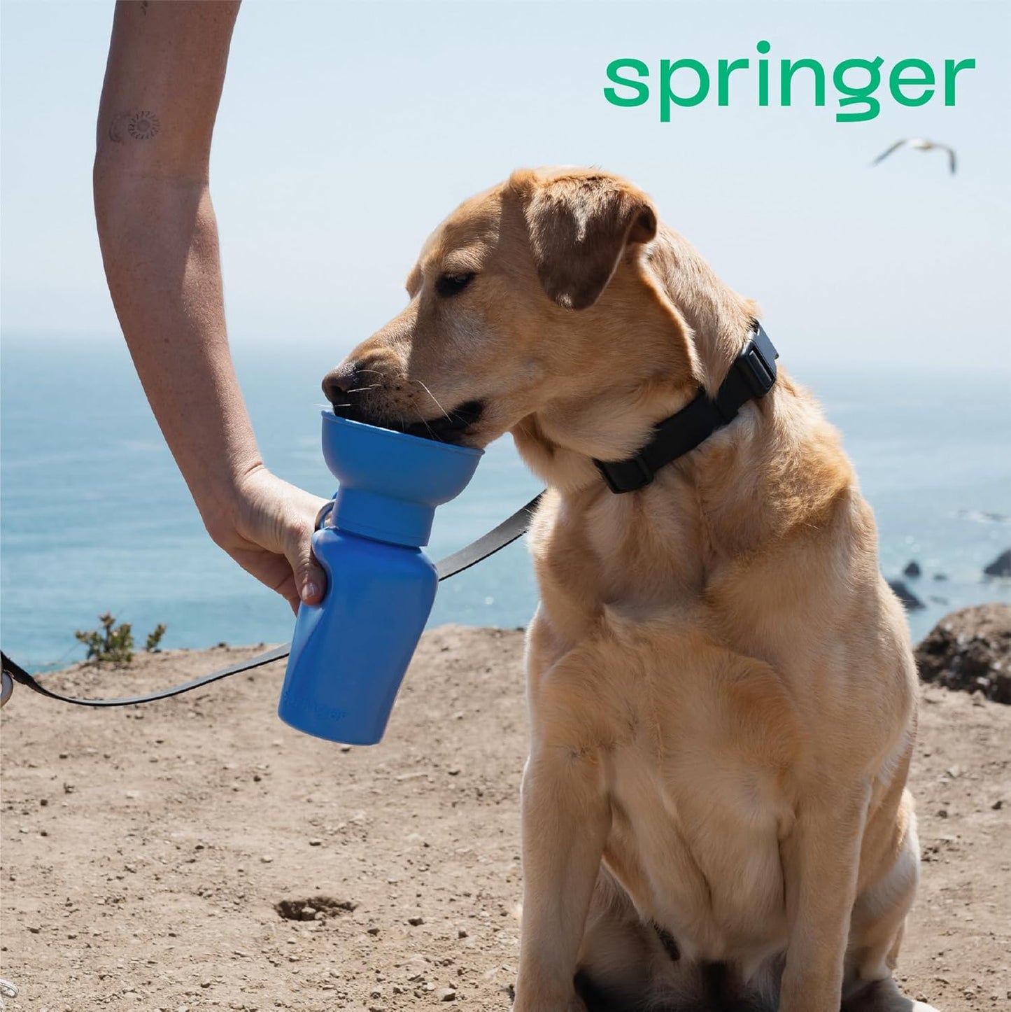 Springer Flip Portable Dog Water Bottle with Foldable Food Grade Silicone Bowl - 20 Ounce Travel Dog Water Bottle Ideal for Camping - Easy Squeeze Hydration & Release to Drain