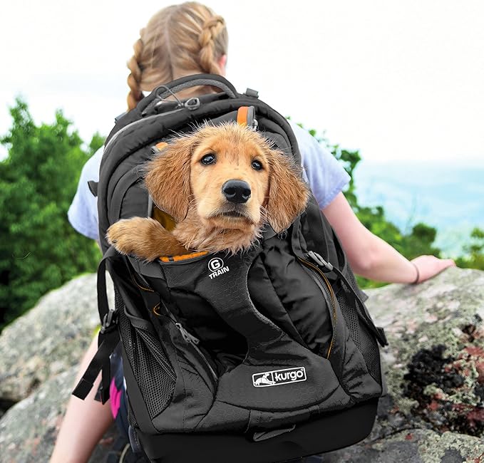 Kurgo G-Train Dog Carrier Backpack - Comfortable Travel Bag for Pets Up to 25 lbs - Waterproof Bottom - Multi-Compartment Pack - Dog Hiking Gear - Rugged Adventure Backpack - Black