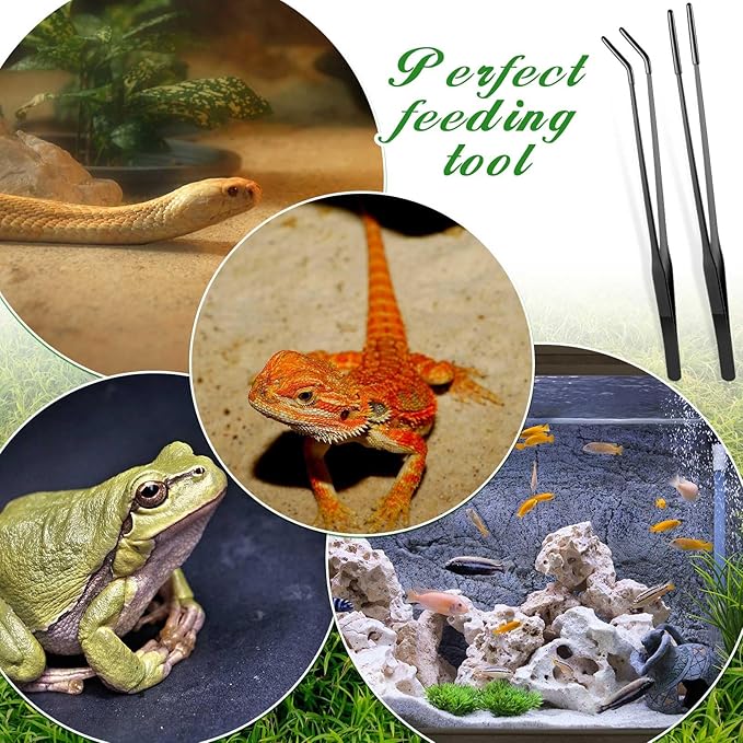 Lasnten 2 Pcs Extra Long Stainless Steel Reptile Feeding Tongs with Rubber Tip Bearded Dragon Aquarium Straight and Curved Long Tweezer Terrarium Feeder Tool for Tank(Black, 15 Inch)
