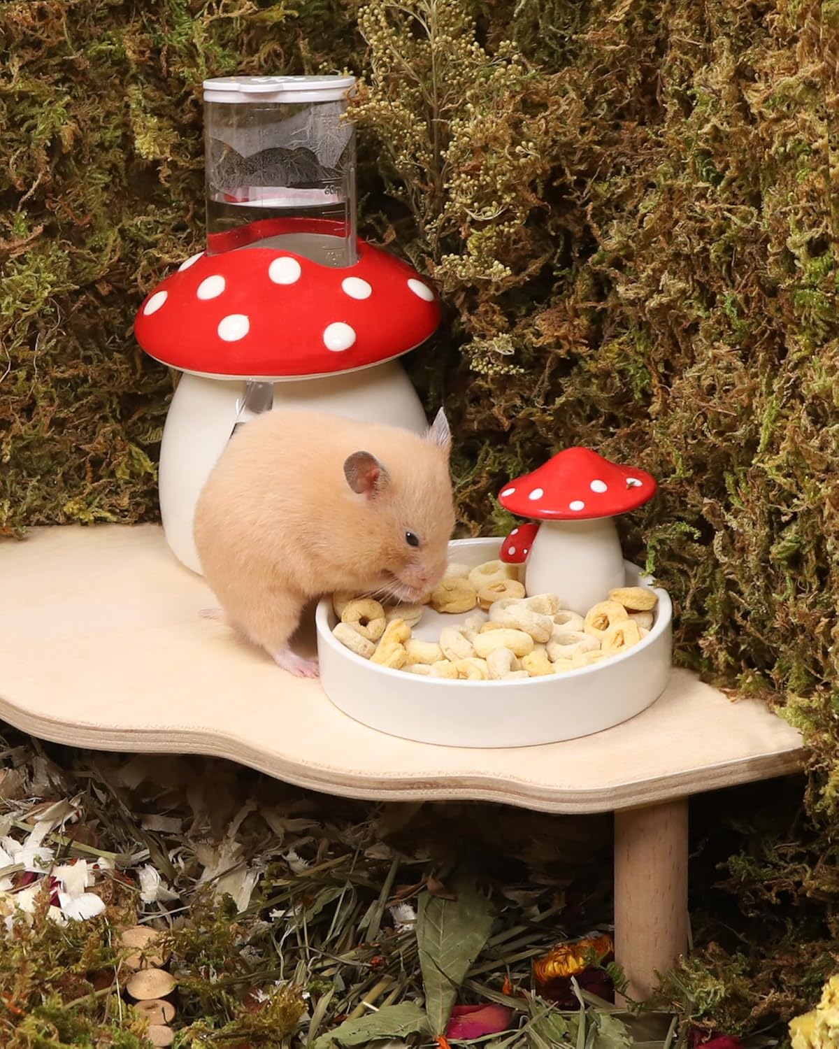 Niteangel Hamster Snack & Treats Toy: - Small Animal Natural Treat Mix for Dwarf Syrian Robo Hamsters Gerbils Mice Lemmings Degus or Other Small-Sized Pets