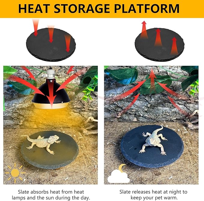 Reptile Basking Platform 6.0IN Turtle Rock Slate Plate Food Bowl Feeding Dish Tortoise Bathing Resting Terrace for Bearded Dragon Chameleon Gecko Snake Lizard Frog Newt