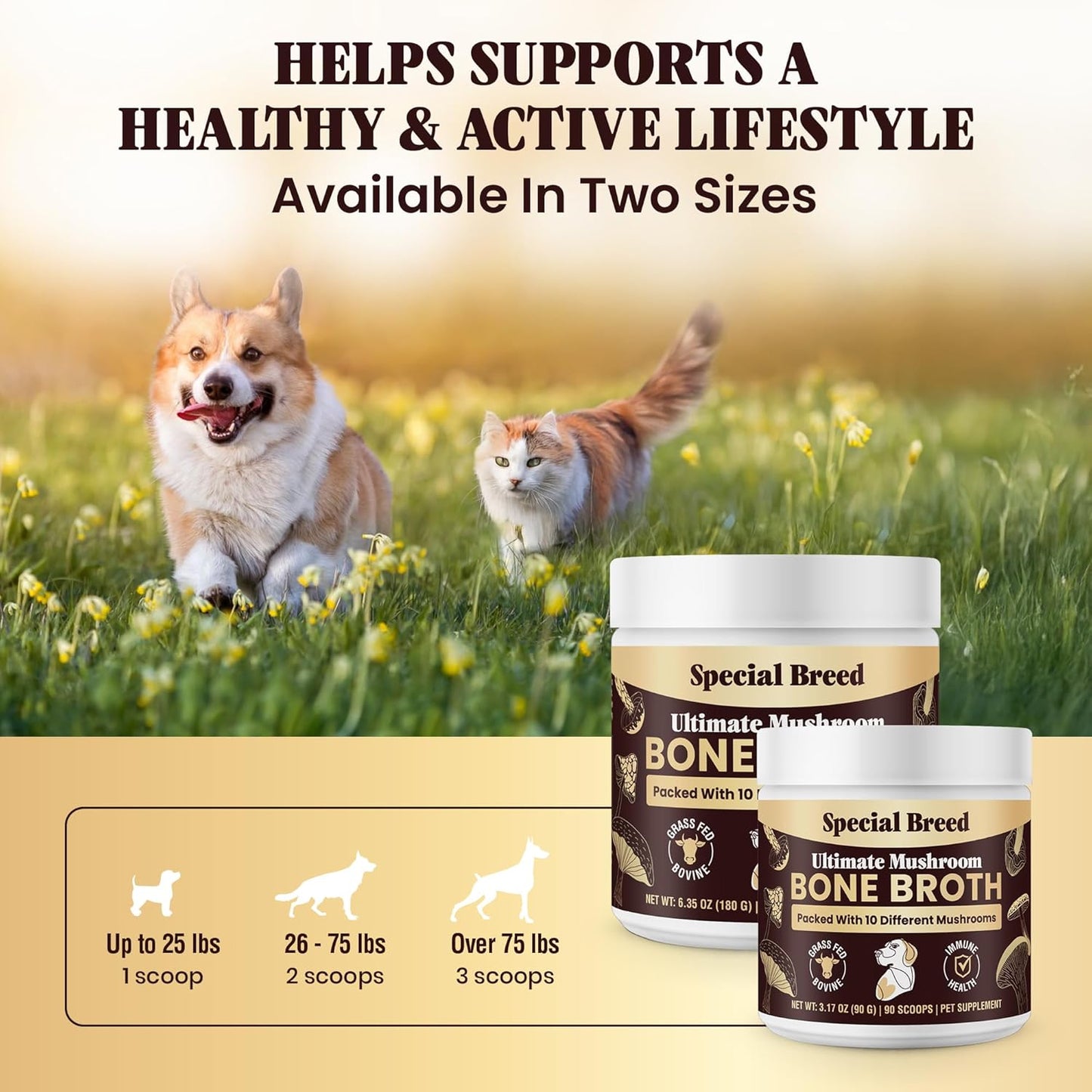 Beef Bone Broth for Dogs - Dog Bone Broth Powder with Ten Organic Mushrooms - High Protein + Ten Mushroom Supplement for Joint Flexibility, Immune Support, Cognition, Vitality, Hydration - 90 Scoops