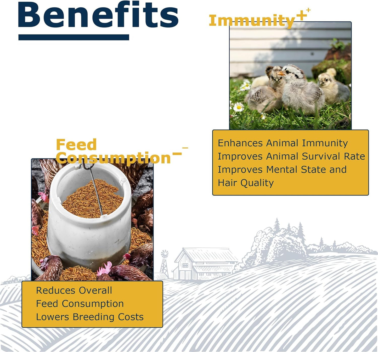 Nutrient-Rich Chicken Feed - 1LB Dried Black Soldier Fly Larvae, 100% Natural, 85X More Calcium Than Mealworms, Ideal for Molting & Laying Hens, Ducks, and Wild Birds, Reptiles and Hedgehogs