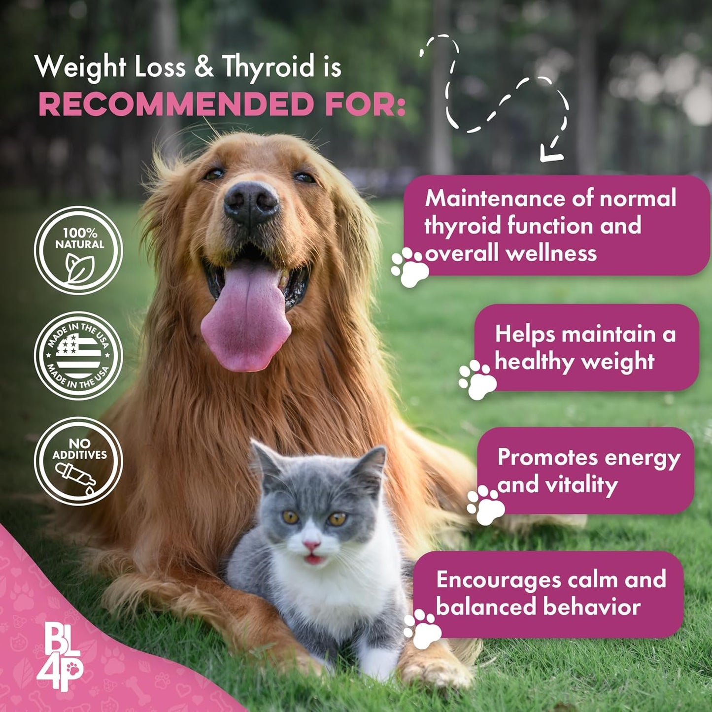 Weight & Thyroid Support for Dogs and Cats, Natural Solution for Hunger Control, Metabolism Support, Optimal Thyroid Function, Effective Dog & Cat Weight Loss, 400 Odorless, Tasteless Pills