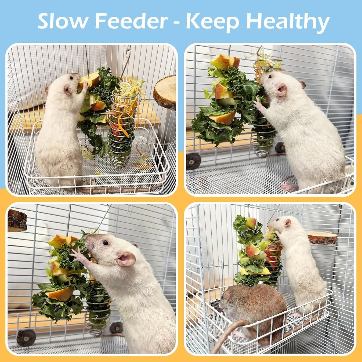 2Pcs Rat Enrichment Toys, 304 Stainless Steel Rat Foraging Toy for Fruit Vegetable Holder, Fancy Mice Cage Accessories Puzzle Toy, Hanging Rodent Toys Slow Feeder, Bird Foraging for Parakeet