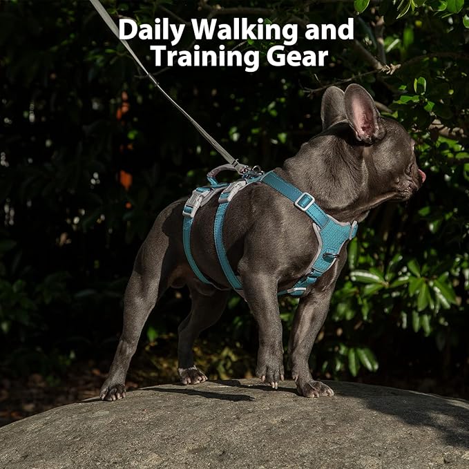 Huntboo Escape Proof Dog Harness, Escape Artist Harness, Fully Reflective Harness with Padded Handle, Breathable,Durable, Adjustable Vest for Medium Dogs Walking, Training, and Running Gear (Teal,XS)