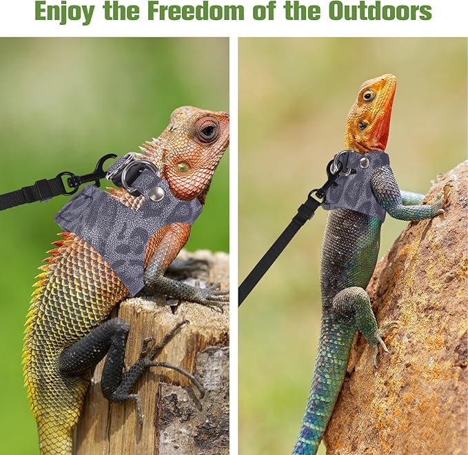Bearded Dragon Lizard Leash Harness 3 Size Pack Leopard Print Lizard Harness Leash for Outdoor Small Reptiles Animal Squirrels (Blue)