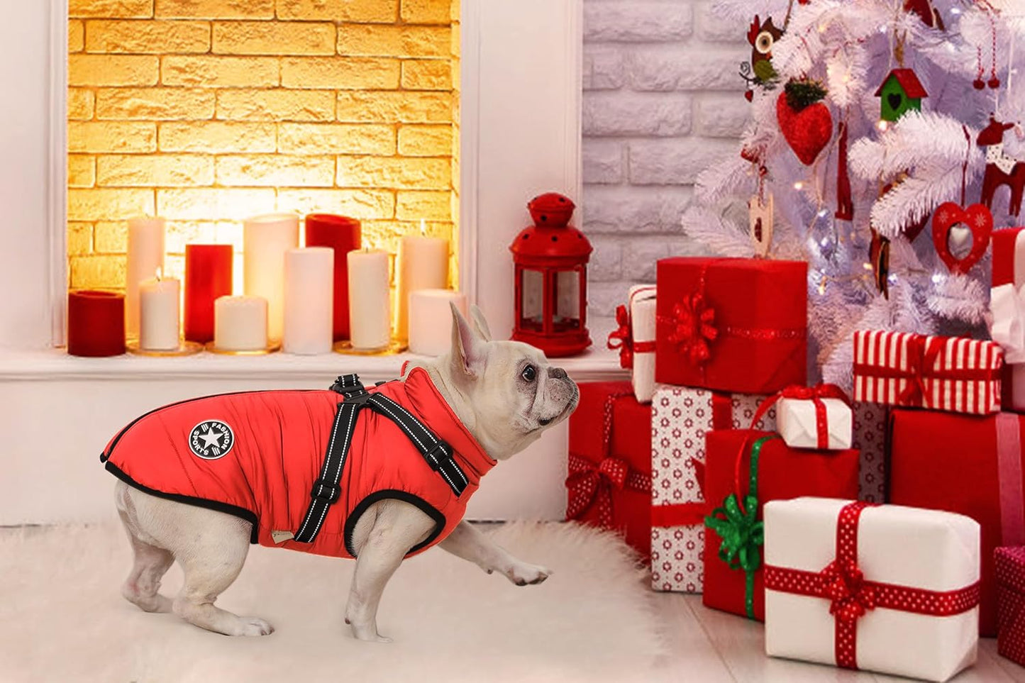 Aiboria Dog Jackets for Winter Windproof Waterproof 2 in 1 Outfit Cold Weather Coat Dog Vest Harness Puppy Winter Warm Jacket Red M