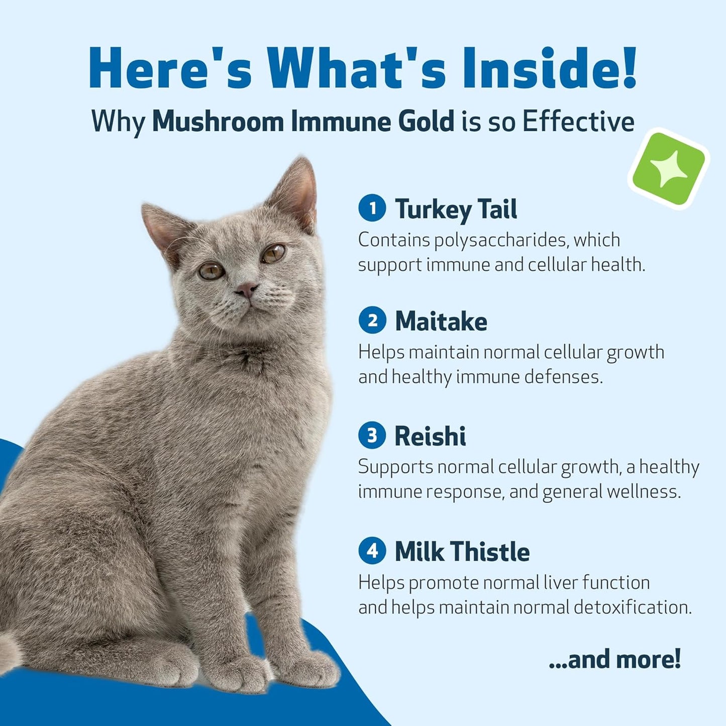 Pet Wellbeing Mushroom Immune Gold for Cats - Vet-Formulated - Immune Support with Reishi, Maitake, Turkey Tail, and Milk Thistle - Complementary Functional Mushroom Supplement 8 oz (237 ml)