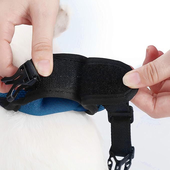 PETTOM Bunny Rabbit Harness with Stretchy Leash Cute Adjustable Buckle Breathable Mesh Vest for Kitten Small Pets Walking (Blue,S)