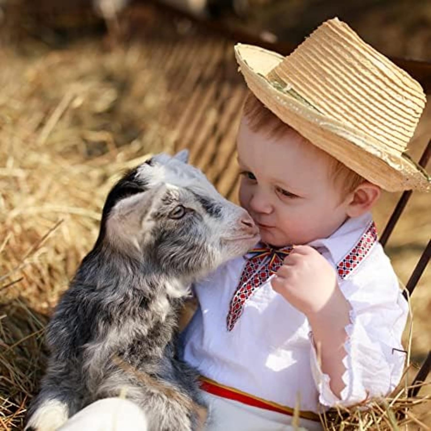 Blue Mountain Hay | Fresh Teff Grass Hay (48 Ounce) | Low NSC, High Fiber, Healthy Weight Management | High-Altitude Hay Pet Food for Rabbits, Guinea Pigs, Chinchillas, Hamsters, and Other Small Pets