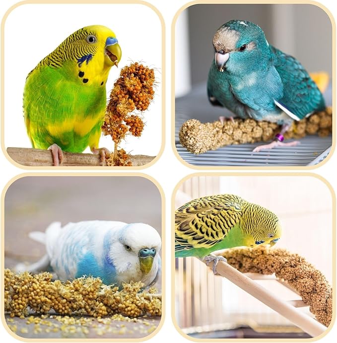 Bird Seed Parakeet Food - 200 Gram Vacuum Sealed Millet Treat for Birds Parakeets Natural Sun-Dried Birds Millet for Cockatiel Budgie Finches Parrots