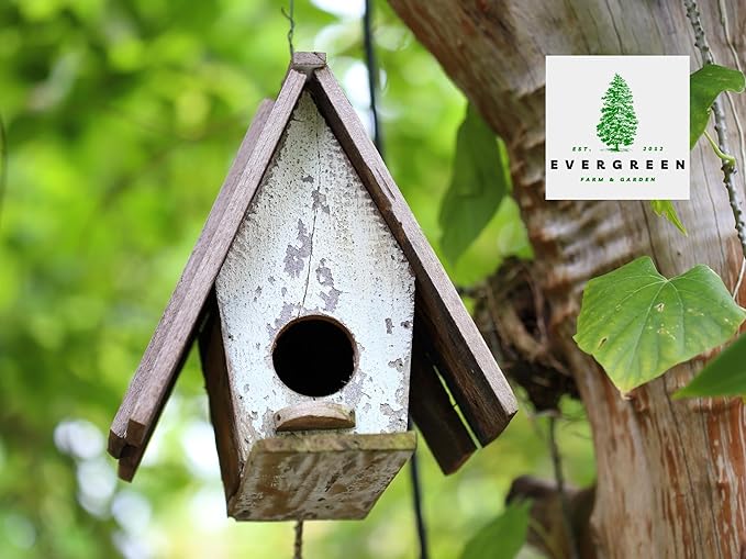 Birdseed Cylinders with Hole - Bird Seed for Outside Wild Birds (Small Cylinder, Bandit Buster 6pc)