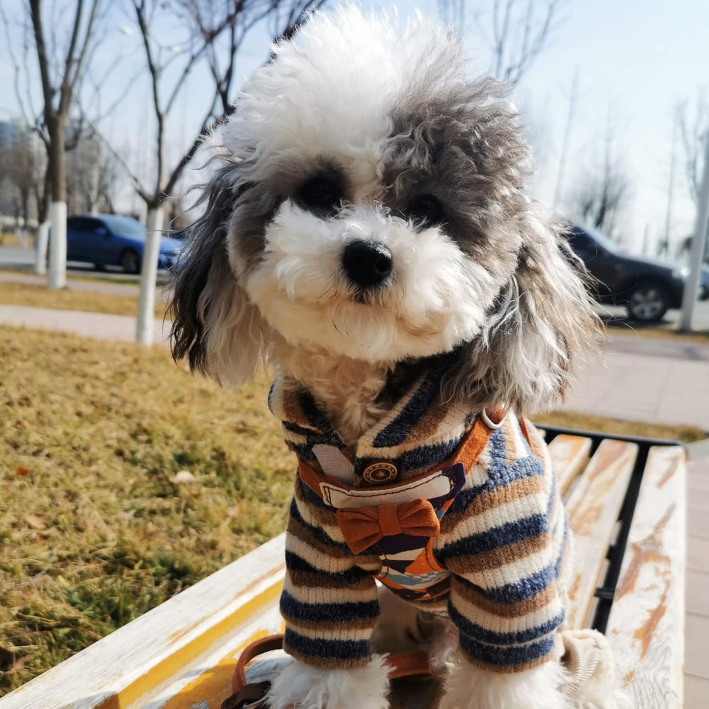 Puppytie No Pull Dog Harness with Multifunction Dog Leash,Soft Adjustable No Choke Escape Proof Pet Harness Vest for Medium Dogs,Suede Bow Brown,M