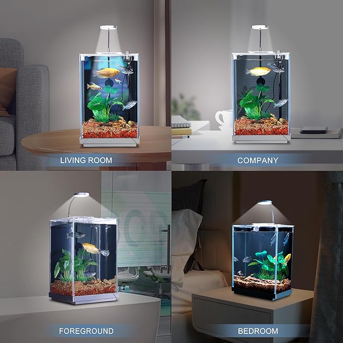 Nano Desktop Betta Aquarium 2.7 Gallon Glass Fish Tank Set, Hidden Bottom Filtration System Self Cleaning Filter Light Gravel Plant Cleaning Tool, for Small Space Easy Setup Space-Saving Design