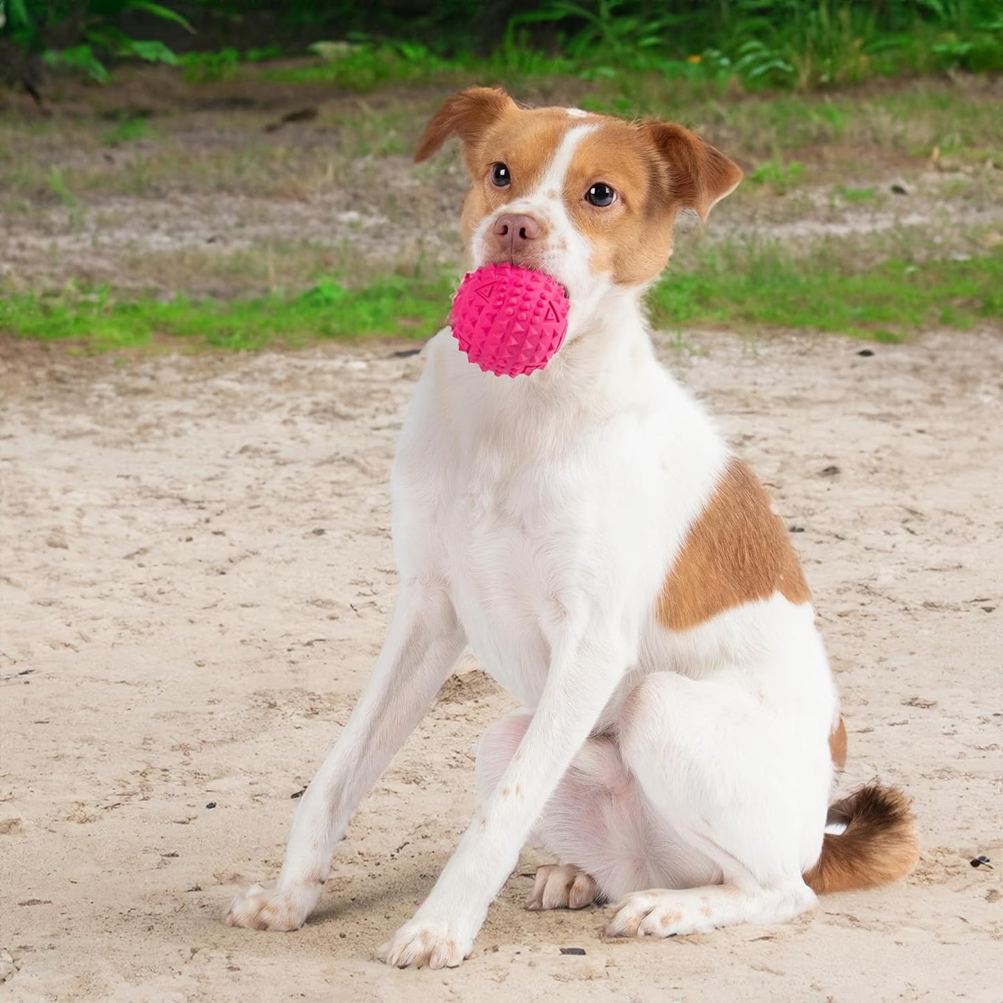 Best Pet Supplies Squeaky Dog Toys with Soft Durable Fabric for Small, Medium and Large Pets Interactive Toy for Indoor Play, Supports Active Biting and Play - Fuchsia (L:3.5")