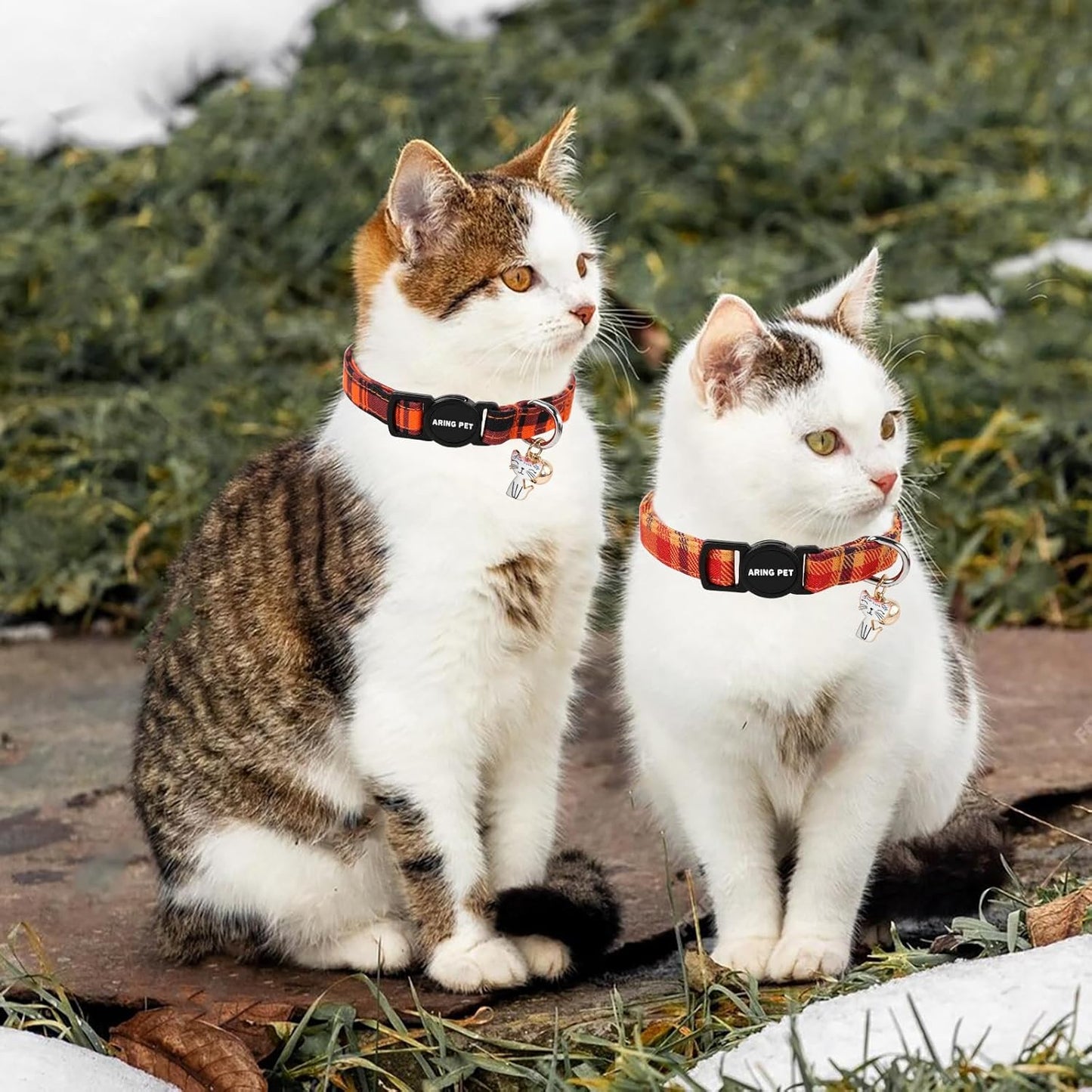 ARING PET 2 Pack Fall Cat Collars-Cute Breakaway Cat Collar with Bell & Pendant, Adjustable Halloween Plaid Kitten Collars with Safety Buckle for Girl and Boy Cats