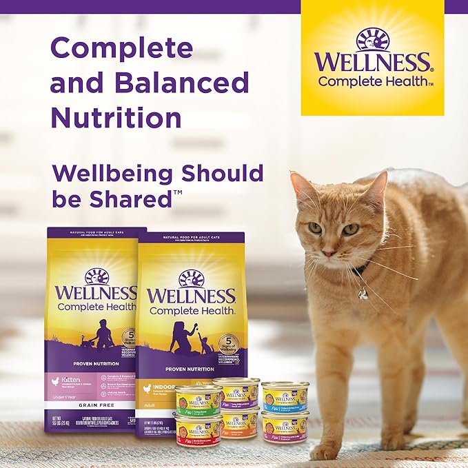 Wellness Complete Health Pate Adult Wet Cat Food, Natural, Protein-Rich, Grain Free, 3 Ounce, 24 Pack, (Turkey)