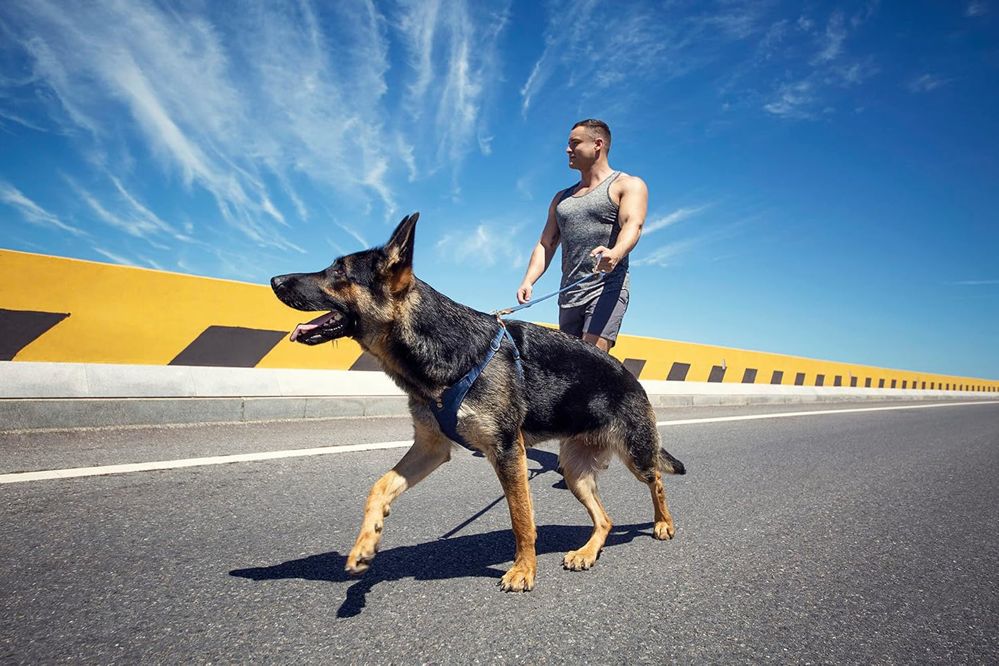 Dog Harness, No Pull Dogs Harness and Multi-Function Leash Set for Medium Dogs Easy Walk Everyday Adjustable Soft Dog Vest Harness Fashionable Dog Accessories Blue-Button-Relaxed Medium