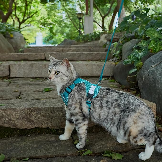 Cat Harness and Leash Escape Proof Extra Large Kitten Harness Maine Coon Cat Vest for Walking Travel, Turquoise, XXL