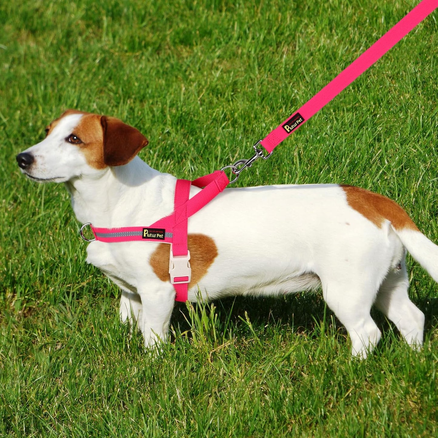 Plutus Pet Cotton Dog Harness and Leash Set, Reflective and Soft Padded, Quick Fit Vest Harness, for Small, Medium and Large Dogs, Hot Pink, XXS