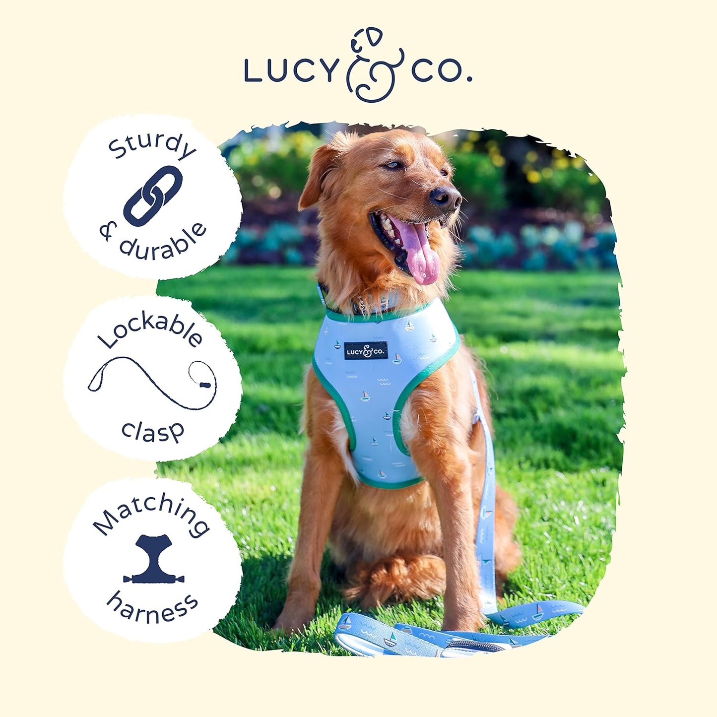 Lucy & Co. 5 Foot Dog Leash - Best Designer Dog Leash - Blue & White Stripes & Sailboats, Large