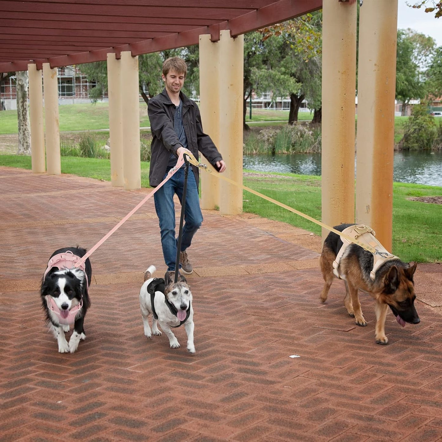 Wisedog No Pull Lightweight Dog Vest Harness with Soft and Comfortable Cushion, Breathable Mesh, for Small Medium Large Dogs Walking (L(Neck: 16.15"-20.86";Chest: 24.02"-38.19"), Gossamer Pink)