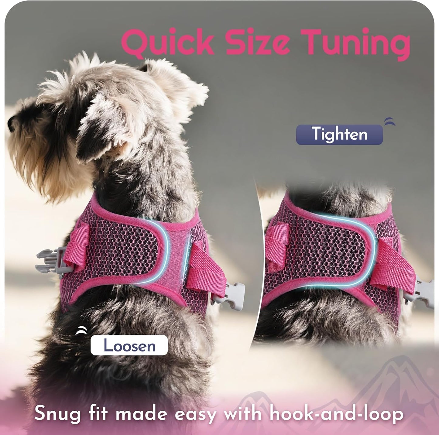 Eagloo Small Dog Harness and Leash Set, Step in Puppy Vest with Breathable Soft Mesh, Walking Reflective Pet Harness for Medium Small Dogs, Rose Red, M