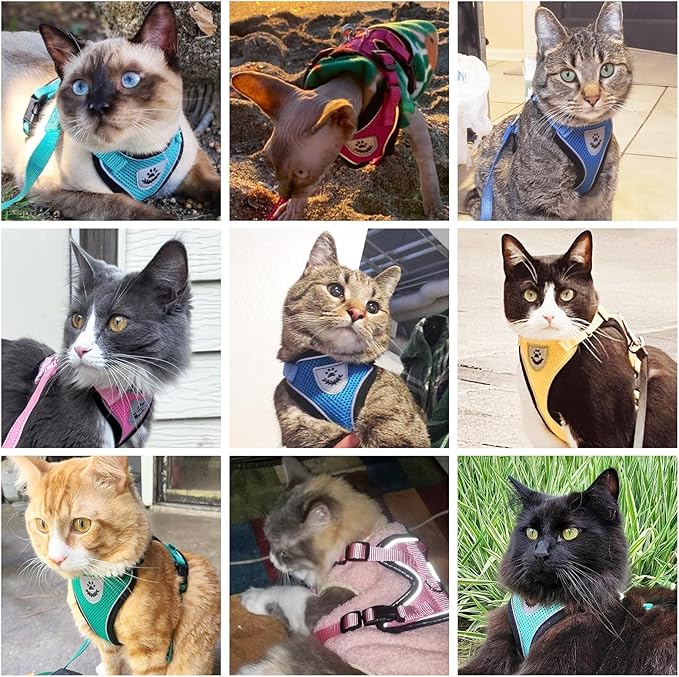 PUPTECK Cat Harness and Leash Set Escape Proof Reflective Cat Walking Harness Adjustable Soft Breathable Mesh Vest for Small Pets, Deep Pink, S