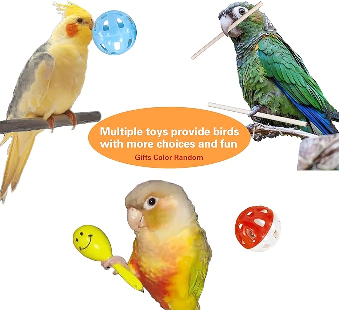 Bird Foraging Toys,Parrot Training Toys,Parrot Interactive Toys to Increase Feeding Time, Bird Enrichment Toys for Small and Medium Parrots,Cockatiel,Parakeet,Conures,Budgie,(Random color for gitfs)