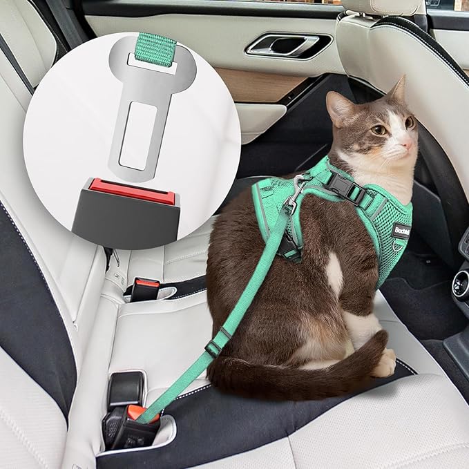 Kitten Harness and Leash Seat, The Upgrade Can be Adjusted in Four Directions and Breathable Cat Harness for Anti Escape That can be Fitted and Positioned, Reflective Strips Harness, Green,XXS