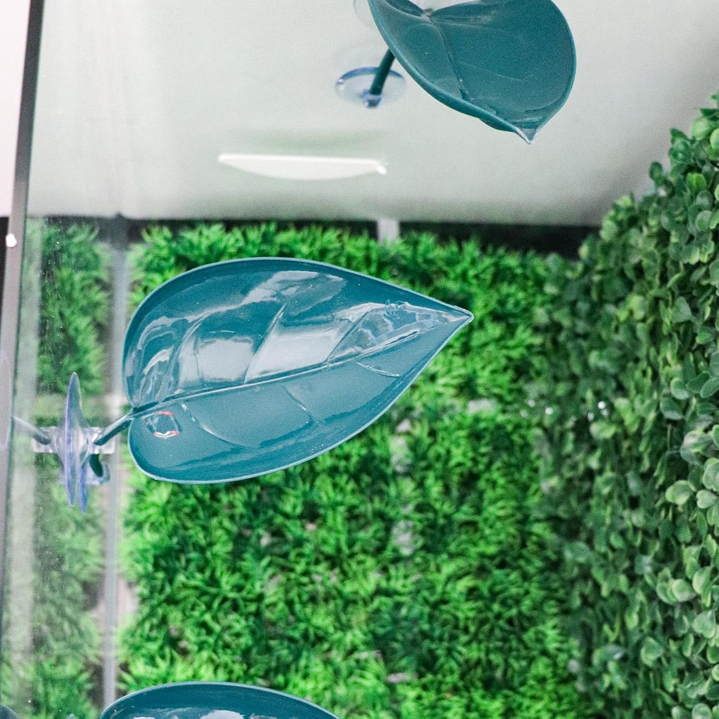 3 Pack Plastic Leaf Decorations with Suction Cups, Frog Habitat Platform, Reptile Decorations for Terrarium, Tank Terrarium Accessories for African Dwarf, Toad