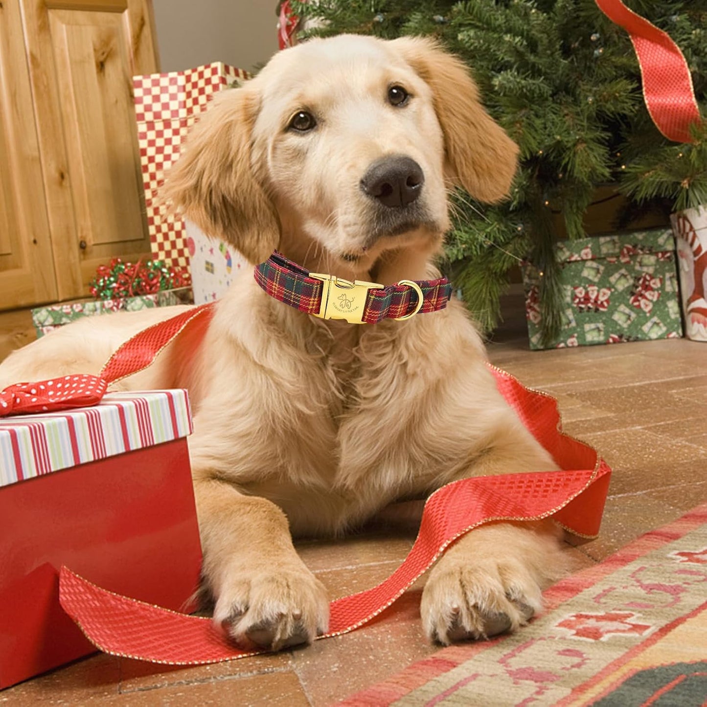 Elegant little tail Dog Collar, Christmas Red Plaid Pet Collar Cute Dog Collars Male or Female Pet Gift Adjustable Dog Collar for X-Small Dogs