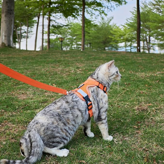 Cat Harness and Leash Escape Proof Extra Large Kitten Harness Maine Coon Cat Vest for Walking Travel, Orange, XXL