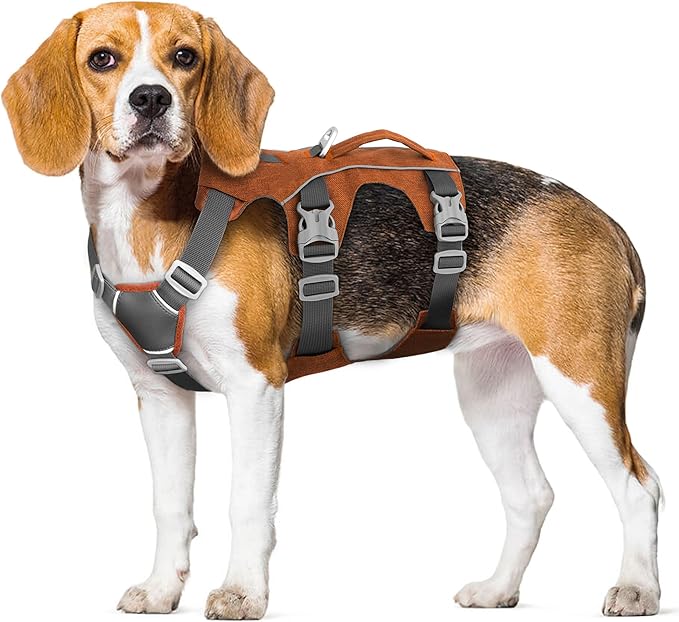 Escape Proof Dog Harness Small Sized Dog, Reflective No Pull Dog Vest with Handle, Lightweight Full Body Pet Harness Adjustable for Walking,Training(Blue,Chest:16-27")