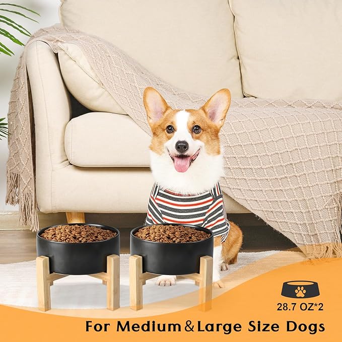 SPUNKYJUNKY Ceramic Elevated Dog Bowls 2 Pack - 6.1inch Raised Dog Bowls with Non-Slip Wooden Stand for Medium Dogs Dishwasher Safe(Black,28.7OZ*2)