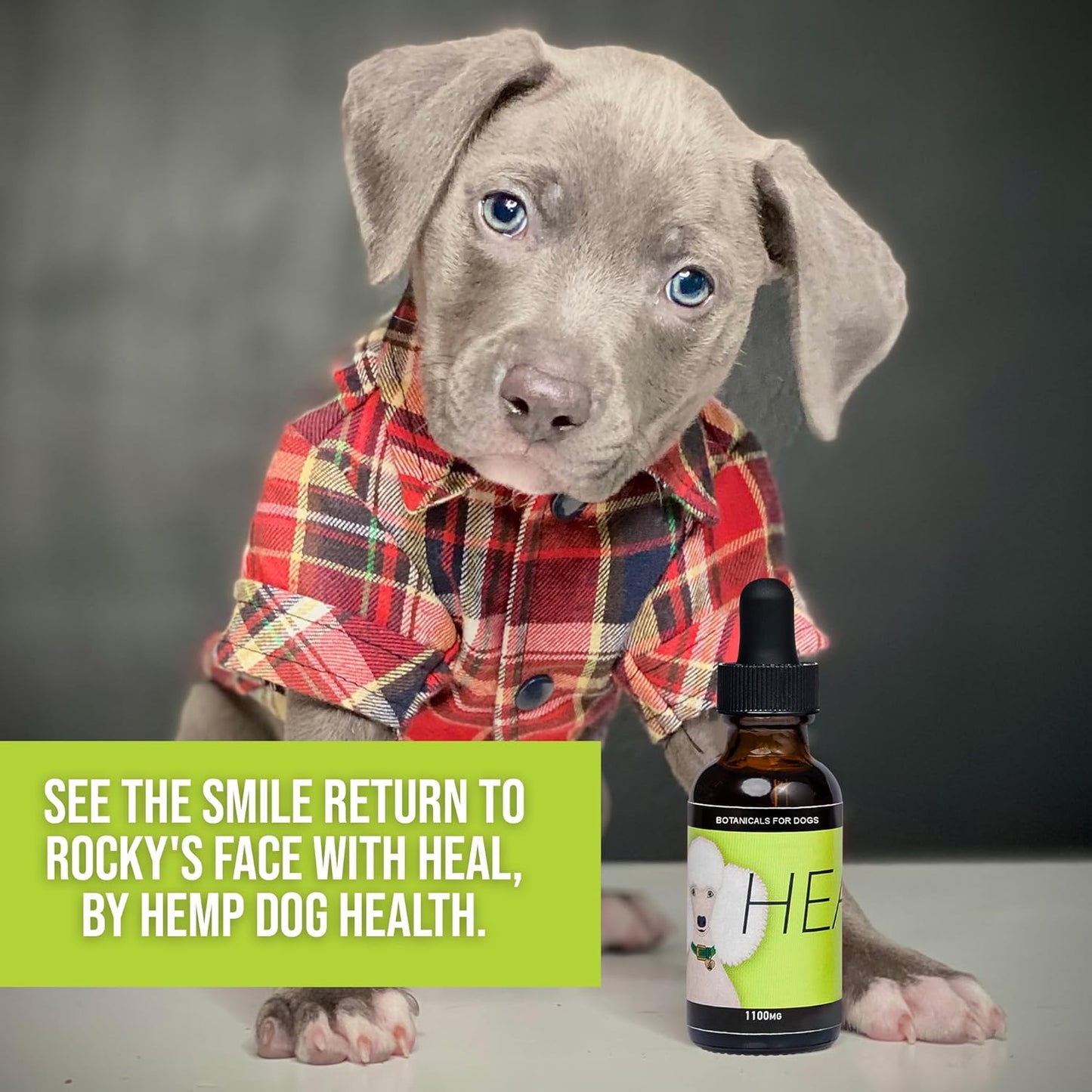 HEAL - Pet Hemp Oil for Dogs - Immune System & Senior Dog Support - Neurological & Adrenal Balance - Daily Wellness Drops