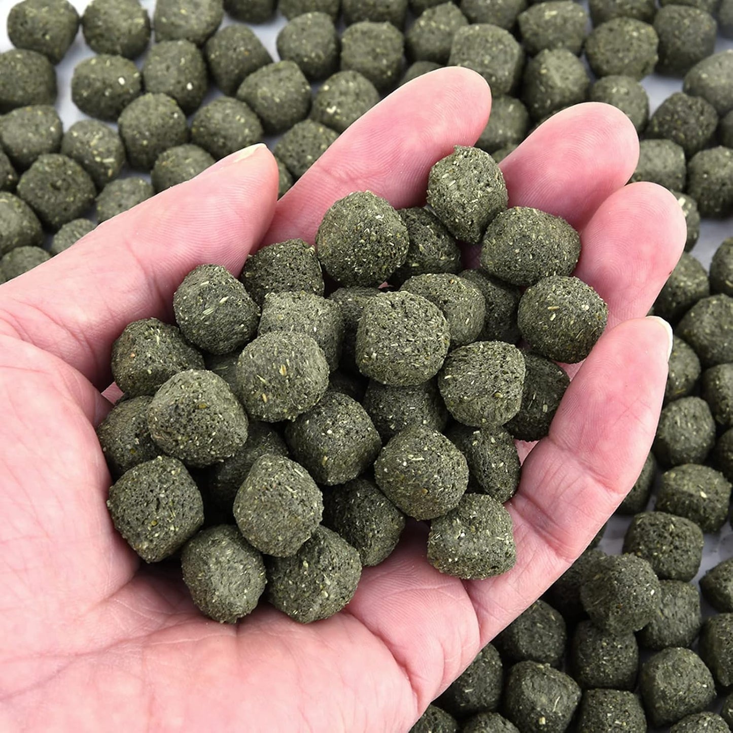 Timothy Hay Cubes 36 oz (6 * 6 oz) -100% Natural Timothy Hay Made Pellets for Rabbits Tortoise Guinea Pig