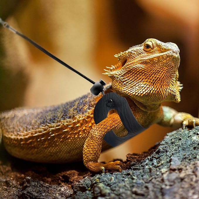BWOGUE Bearded Dragon Harness and Leash Adjustable Leather Lizard Reptiles Harness Leash for Amphibians and Other Small Pet Animals (S,M,L,3 Pack)
