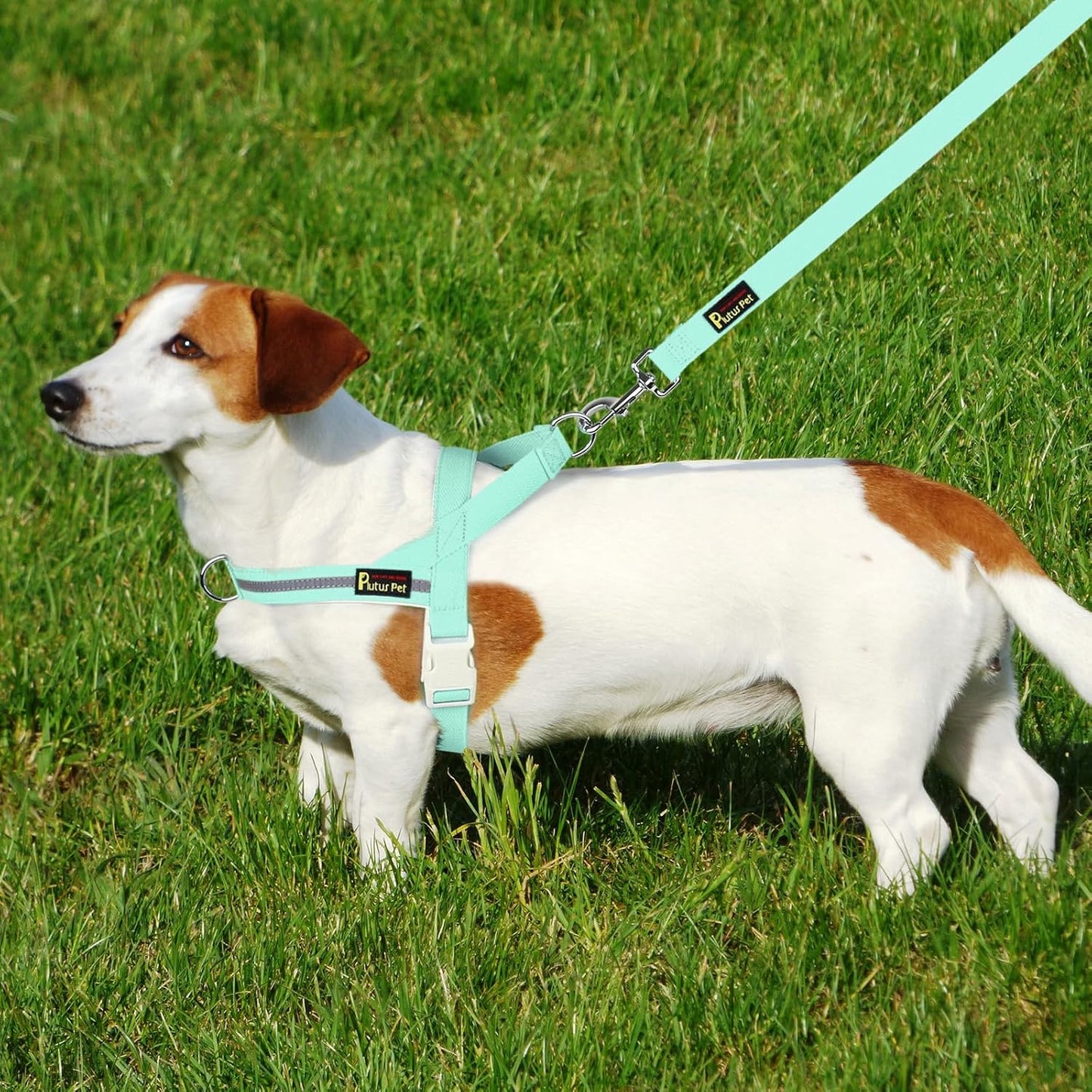 Plutus Pet Cotton Dog Harness and Leash Set, Reflective and Soft Padded, Quick Fit Vest Harness, for Small, Medium and Large Dogs, Light Cyan, XXS