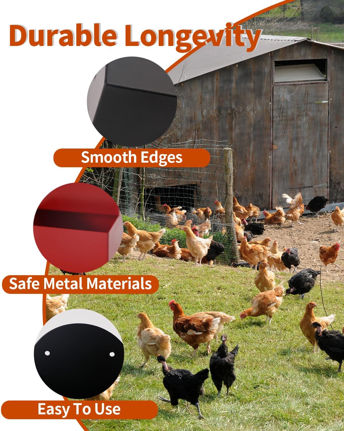 Chicken Oyster Shell Feeder and Grit Feeder Metal Chicken Feeder Chicken coop Accessories Automatic Chicken Feeder